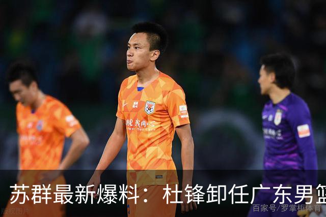 苏群最新爆料：杜锋卸任广东男篮主帅，俱乐部或将聘外教，焦泊乔有望留队
